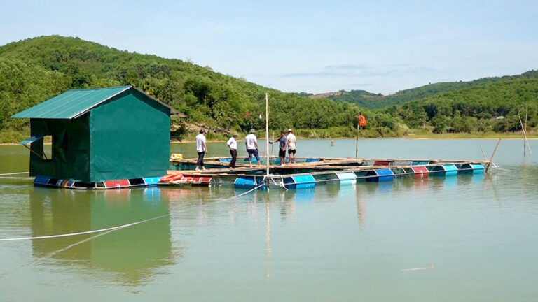 Thanh Hóa: Phát triển nghề nuôi Cá Lồng trên sông