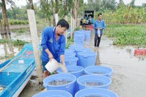 An Giang: Giám sát dịch bệnh trên Thủy Sản